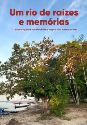 Infância: Vídeoaulas