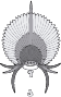 Funai
